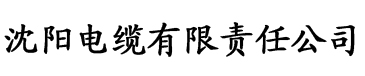 理论片xx电缆厂logo